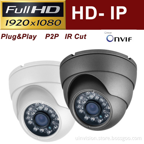 Vandalpoof HD IR Security CCTV IP Camera (UV-IPD3122)